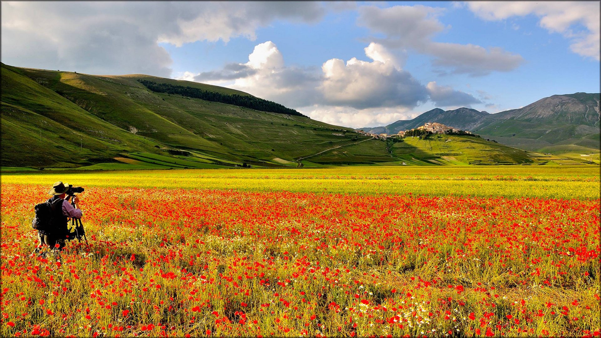 Basilica of Saint Francis of Assisi Photographer in a field of red and yellow flowers with mountains in the background